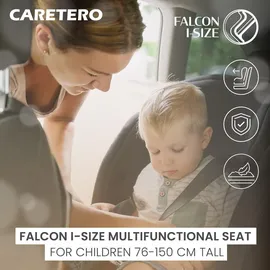 OEM Falcon Rosa