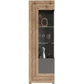 xonox.home Vitrine Freno 60 x 194 x 37 cm Grau