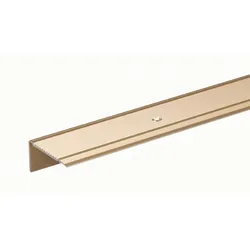 Alberts Treppenkanten-Schutzprofil Alu, verschiedene Farben, 43 x 23 mm, gebohrt, Kanten-Schutz