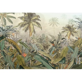 KOMAR Amazonia 368 x 248 cm