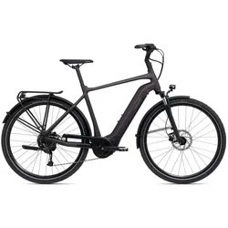 Giant DailyTour E+ 3 [RC Dash] Braun Modell 2024