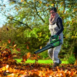 Bosch Advanced LeafBlower 36V-750 Akku-Laubbläser solo (06008C6001)