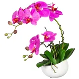 Fuchs Versand 24/7 Kunstpflanze Phalaenopsis in Keramikschale, 42 cm,