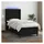 vidaXL Boxspringbett 100 x 200 cm Schwarz
