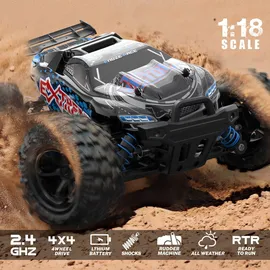 ES-Toys RC-Buggy Elektro 1:18 CH RTR schwarz