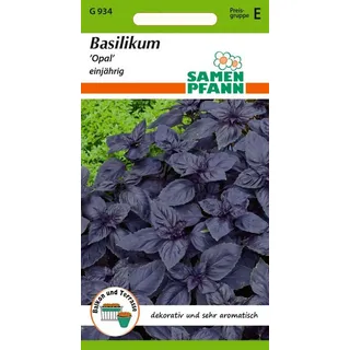 Samen Pfann SAMEN PFANN® Basilikum, rot - Basilikum-Samen Kräuter-Samen Gewürz Saatgut Samen (Ocimum basilicum)