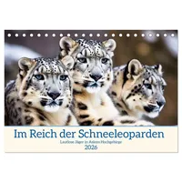 Calvendo Im Reich der Schneeleoparden (Tischkalender 2026 DIN A5