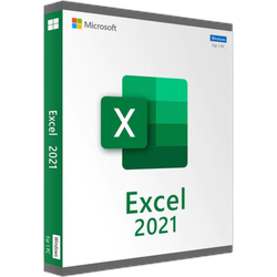Microsoft Excel 2021