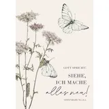 Adeo Verlag Jahreslosung 2026 - Postkarten (10er-Set)