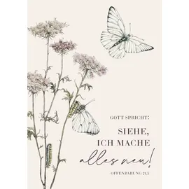 Adeo Verlag Jahreslosung 2026 - Postkarten (10er-Set)