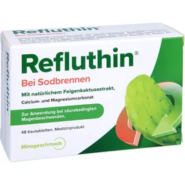 Dr. Willmar Schwabe Refluthin bei Sodbrennen Kautabletten Minze