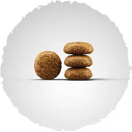 Josera Miniwell 5 x 900 g