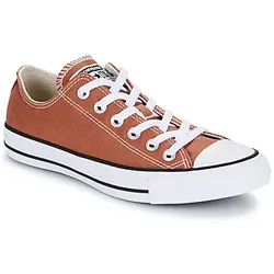 Converse  Sneaker CHUCK TAYLOR ALL STAR  in Braun, 38