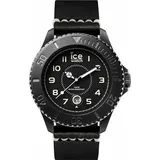 ICE-Watch Ice Heritage 001198