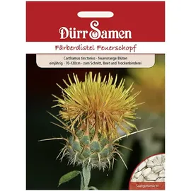 Dürr-Samen - Färberdistel Feuerschopf einjährig 70-120 cm Saatgut