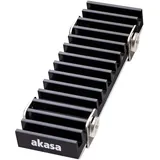 Akasa Gecko Pro, Solid-State-Laufwerk Kühlkörper/Radiator Schwarz 1 Stück(e) A-M2HS02-BK