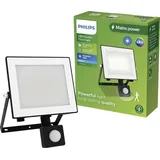Philips LED Lois 929004642501 LED-Außenstrahler mit Bewegungsmelder 30W Kaltweiß