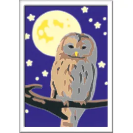 Ravensburger 28772 - Malen nach Zahlen, Nachteule, Malset mit Leuchtfarbe