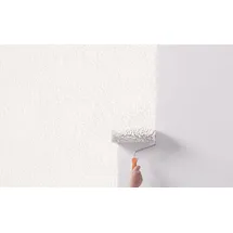 Alpina Rollputz 12 kg 0,5 mm Körnung weiß