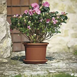 Euro3Plast Untersetzer Medea Ø 56 cm terracotta
