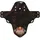 ALL MOUNTAIN STYLE Schutzblech AMS Mud Guard Red Bull Rampage Ridgeline Brown