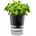 GEFU Botanico Ø 14 3 x 18 5 schwarz