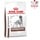 Royal Canin Gastrointestinal 2 kg