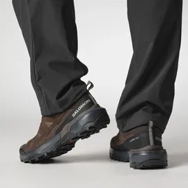 Salomon X Ultra 360 Leather Gore-Tex Herren Dark Earth/Delicioso/Sharkskin 41 1/3