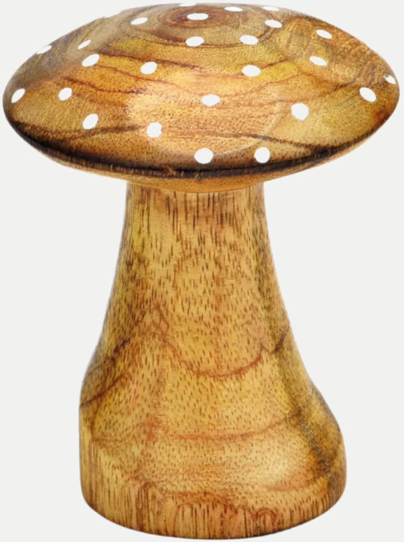 Pilz 6x8x6 Braun
