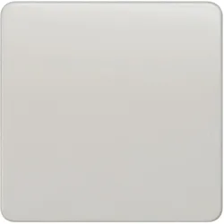 1St. Siemens 5TG7801 DELTA profil Wippe neutral, titanweiß
