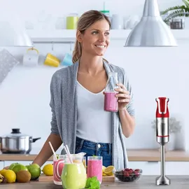 Royalty Line RL-ESTM800 Stabmixer