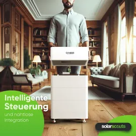 dyness BMS BDU-1,5G Solarspeicher