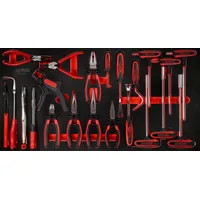 KS Tools T-Griff-Winkelstiftschlüssel- / und Zangen-Satz in Schaumstoffeinlage, 24-tlg