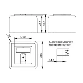 Telegärtner Modul-Aufnahme 1-fach AP 80x80