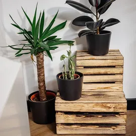 Creative Deco Holzkiste 27 x 20 x 21 cm 1-tlg. braun