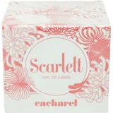 50 ml
