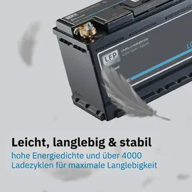 Ective LC 100 12V LiFePO4 Versorgungsbatterie 100 Ah 1280Wh