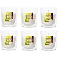 Gebr. Müller Kerzenfabrik AG Duft-Kerzenglas 65/70 mm Set 6 Stk. Duftglas Duftkerze Duftkerzen-Glas Teelichter Duftlichter Anti Tabacco