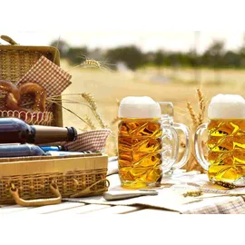 Stölzle Bierkrug Diamond 0,3 l 6er Set