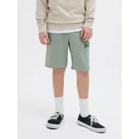 Jack & Jones Junior Shorts 'Luke' in grün |