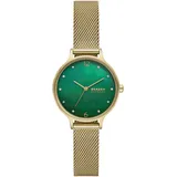 Skagen Watch SKW3145