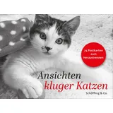 Schöffling Ansichten kluger Katzen