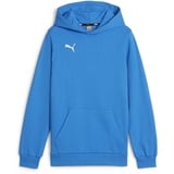 Puma teamGOAL Hoodie Jungen 02 ignite blue/white 152