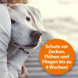 ARDAP Zeckenspray zur Anwendung am Tier 250 ml