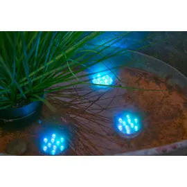 CASANOVA LED Teelicht BEANS Ø 7 cm mehrfarbig