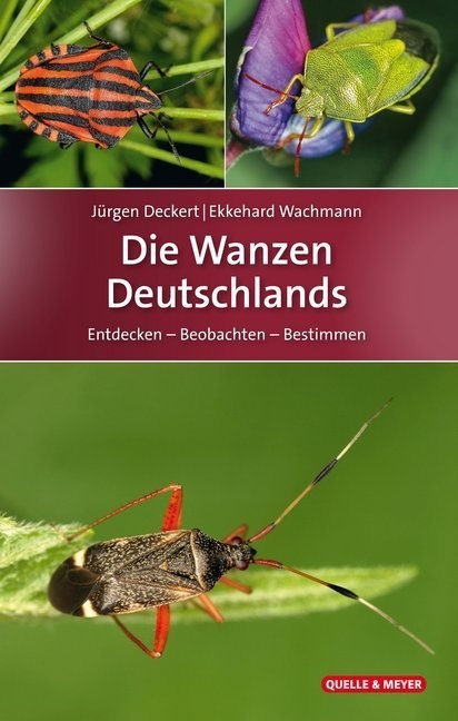 Die Wanzen Deutschlands - Jürgen Deckert  Ekkehard Wachmann  Gebunden