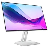 Lenovo L24i-4A 24" grau