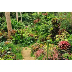 Fototapete PAPERMOON "GARTEN-BLUMEN BÄUME PFLANZEN PARK STEINE WALD BLÜTEN", bunt, B:4,00m L:2,60m, Vlies, Tapeten