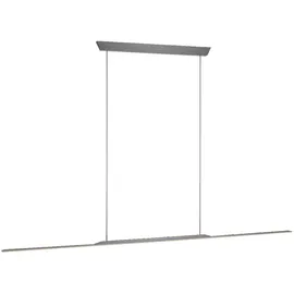 Paul Neuhaus PURE 1-flg. 125 cm grau Aluminium