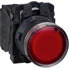 Schneider Leuchttaster XB5AW34G5